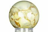 Polished Orbicular King Cobra Jasper Sphere - India #311554-1